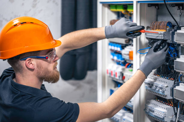 Best Electric Panel Repair  in Alb, IA